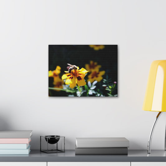 "Pollination" Canvas Print