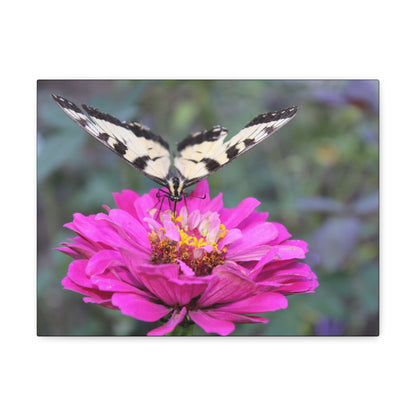 "Nectar" Canvas Print