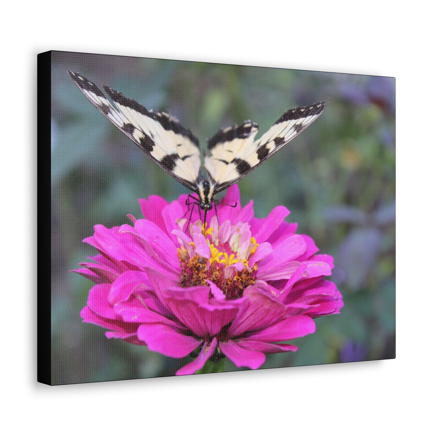 "Nectar" Canvas Print