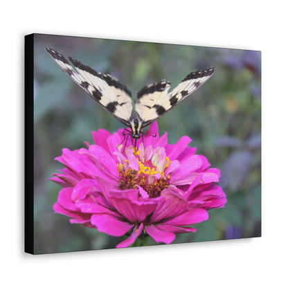 "Nectar" Canvas Print