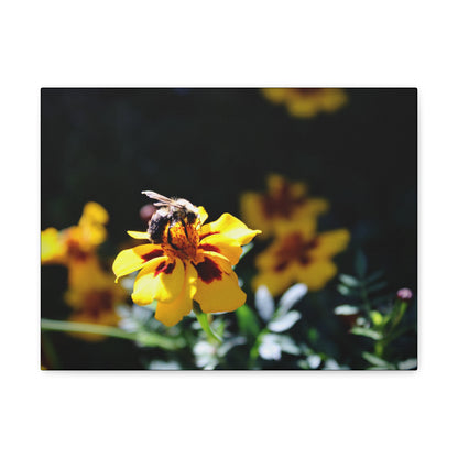 "Pollination" Canvas Print