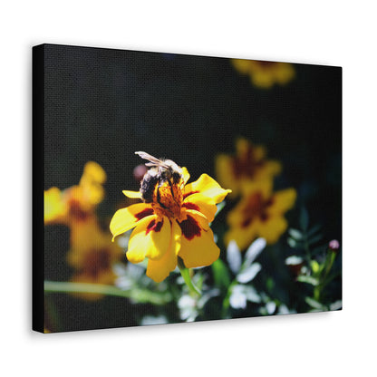 "Pollination" Canvas Print