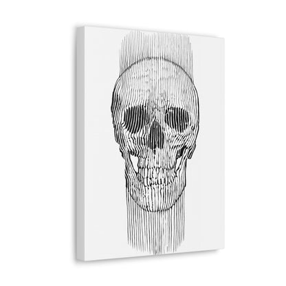 "Skull" Canvas Print