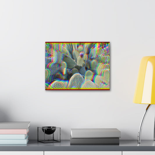 "Cacti" Canvas Print