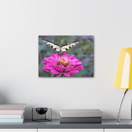 "Nectar" Canvas Print