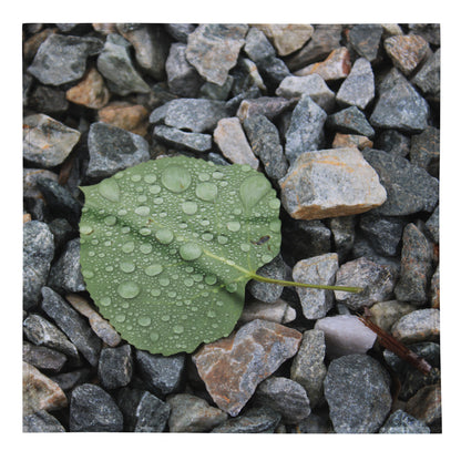 "Morning Dew" Bandana